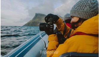 BOAT TRIP TO VESTMANNA SEA CLIFFS 1.5 HRS
