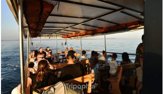 VISIT BRIJUNI NATIONAL PARK AND DOLPHIN IN CRUISE FROM PULA