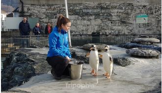 AQUARIUM TOUR BERGEN