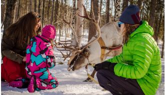 DAY TRIP TO SANTA'S VILLAGE & SNOWMOBILING TO REINDEER FARM FROM ROVANIEMI