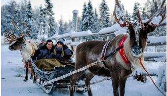 AUTHENTIC REINDEER FARM VISIT & SLEIGH RIDE IN ROVANIEMI