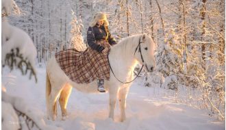 ARCTIC HORSE RIDING EXPERIENCE IN ROVANIEMI