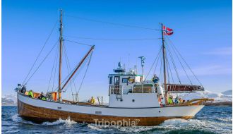 TROMSO FJORD AND HISTORY CRUISE