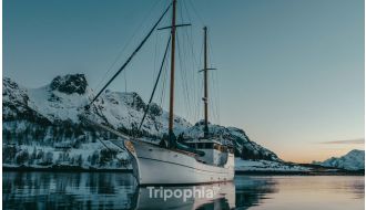 WILDLIFE BIRD FJORD CRUISE WITH LUNCH AND DRINKS IN TROMSØ