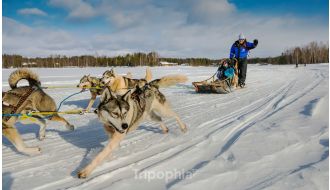 SAARISELKÄ HUSKY EXPERIENCE 