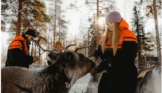 SAARISELKÄ EVENING SAFARI BY REINDEER