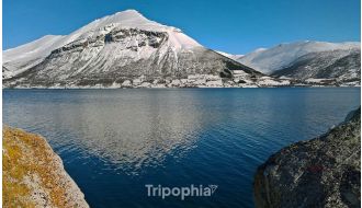 HALF-DAY SCENIC NORWEGIAN FJORDS TOUR IN TROMSØ