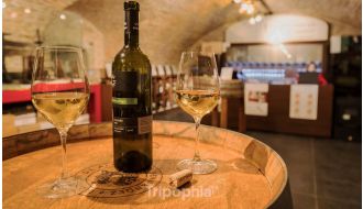  BRATISLAVA DAY TRIP WINERY TOUR WITH WINE TASTING