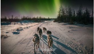 HUSKY VISIT UNDER NORTHERN LIGHTS WITH TRADITIONAL DINNER IN TROMSØ
