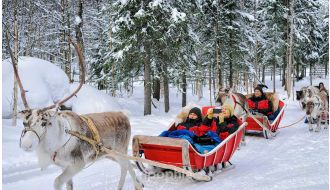 REINDEER SLEIGH RIDE WITH HOT DRINKS & COOKIES IN ROVANIEMI