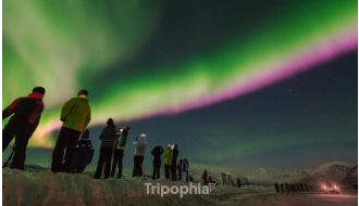 NORTHERN LIGHTS PHOTOGRAPHY TOUR UNDER EXPERT GUIDANCE IN TROMSØ