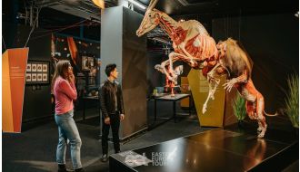 BERLIN BODY WORLDS MUSEUM ENTRY TICKETS