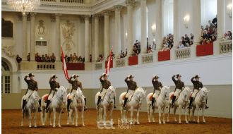 ENTRY TICKET TO THE LIPIZZANS PERFORMANCE AT SPANISH RIDING SCHOOL IN VIENNA