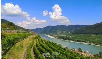 DAY TRIP TO WACHAU VALLEY WITH WINE TASTING FROM VIENNA