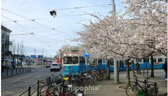 Gothenburg (2n) & Oslo (3n) & Bergen (3n) - 8 Nights / 9 Days