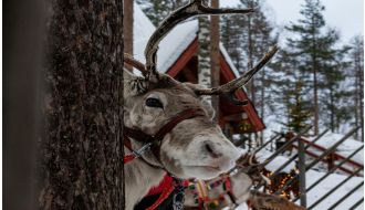 Rovaniemi (2n) & Helsinki (3n) - 5 Nights / 6 Days