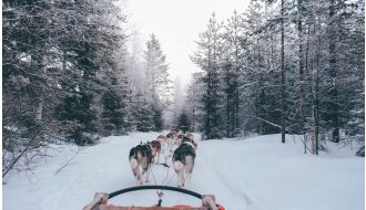 Rovaniemi (3n) & Helsinki (3n) - 6 Nights / 7 Days