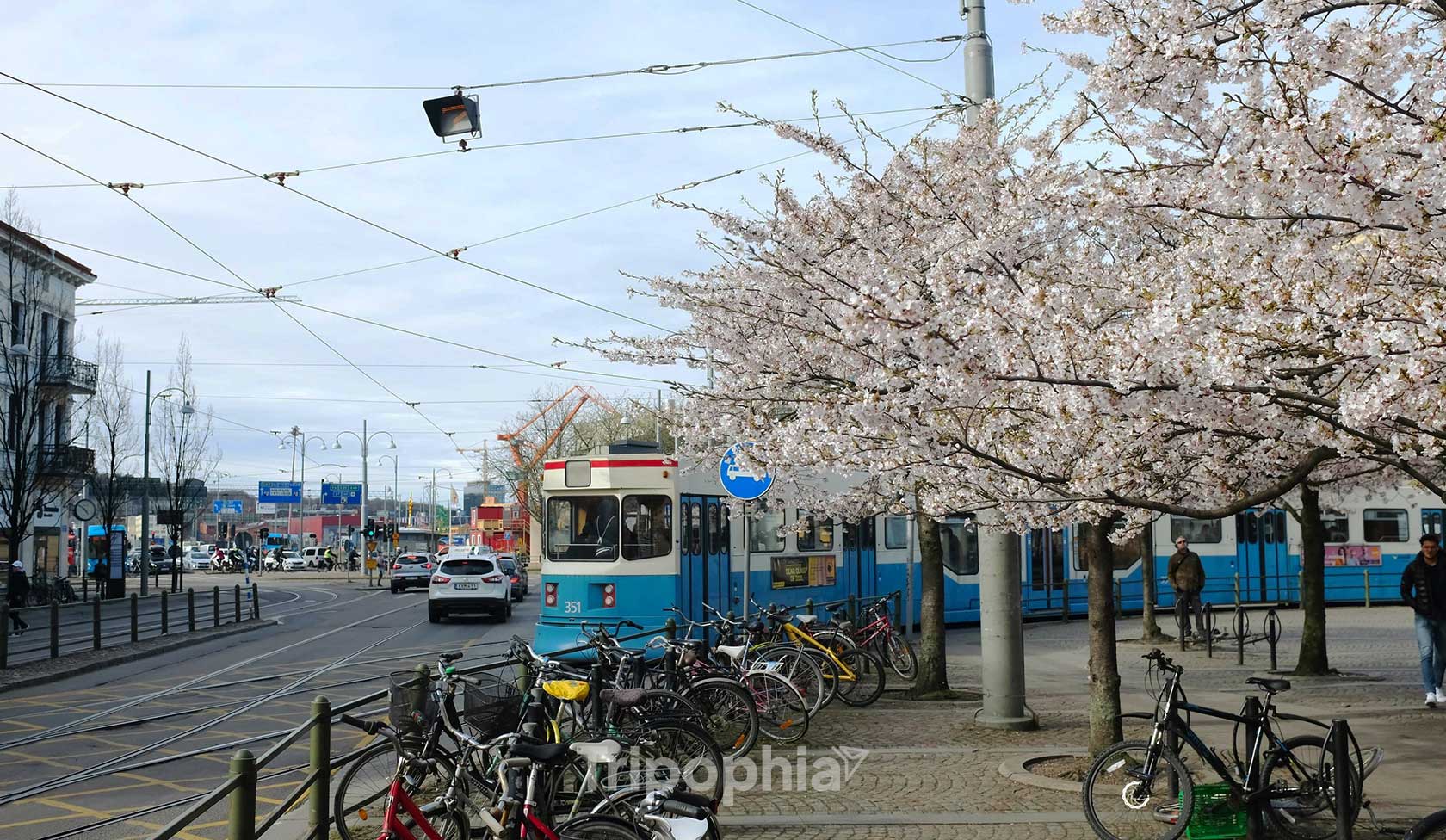 26048